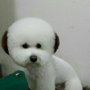 중앙미용학원 이미지