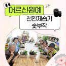 천연 공기청정기 숯부작 원예 | 충주돌봄 사람인]어르신 집단원예프로그램-공기정화와 힐링을 담은 숯부작 체험/충주원예치료 호야힐링원예