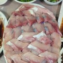 일조회수산