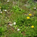 예밀농장 이미지