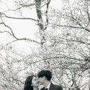 3.1.공원 이미지