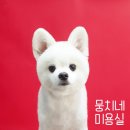 뭉치네 미용실 이미지