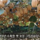 조미경농장 이미지