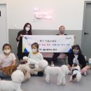 아지&냥이 이미지