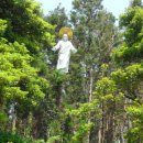 대정목장 이미지