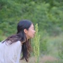 맹개마을 이미지