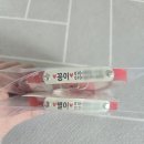 미소펫# | 미소펫인디 INDI 강아지 고양이 인식표 목줄(쿠팡 강아지 인식표) 후기