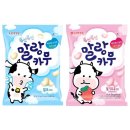 카우카우 - 군포시 산본로323번길 24 | 카우카우