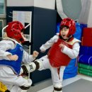 계명대꿈나무태권도장 이미지