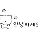 와이무인텔