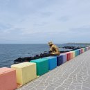 무지개컴퓨터크리닝 | 2021 여름 제주도 여행 3일차:) 선명횟집 해물뚝배기, 무지개 해안도로, 도두봉 키세스존