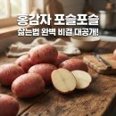 나물삶는집1 | 홍감자 포슬포슬 삶는법, 2026년에는 이 물 온도 유지해야 완벽하다는 비결