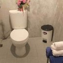 망고게스트하우스 | [태국 빠통 호텔 추천] 그린 망고 게스트하우스 호스텔 (Green Mango Guesthouse - Hostel) - &lt;1...