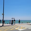 동해선송정역 앞 이미지