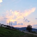 무지개다리화장실 이미지