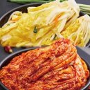 솜씨 쇼핑하우