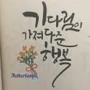 플러스펜 수채화 캘리그라피 | 캘리그라피와 수성펜 수채화