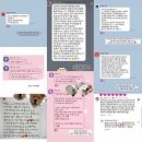 삼순이_삼결살_앞_CCTV | [멍즈니랜드] 경산 대형견 출장 목욕 아키타 출장 목욕