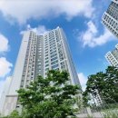 디에트르더펠리체 603동 이미지