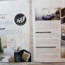 설레임 에스테틱