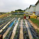 인근농장 이미지