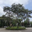 刀 교체(26.5.28./3060) 이미지