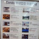 강촌 엘리시안 리조트 조식뷔페 후기 살짝 후회함