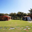 진경원민박캠핑장 이미지