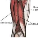 올인원피티앤테라피 이미지