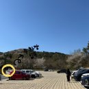 댕댕존 | 김해 무료 애견운동장 추천 | 예약 없이 다녀온 댕댕파크 후기 (중형견존) 🐕