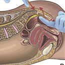 마음따뜻한방병원 이미지