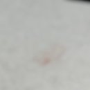 천안제과