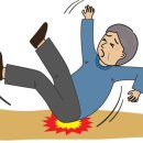 낙상 헬스조선