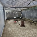 나은농장 이미지