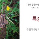 (주)하나특송