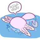 광코북성로 이미지