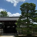 길 | 일본 오사카 여행 교토 근교 아라시야마 대나무 숲길 후기