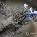 경산서 6세기 신라인이 쓴 조세 기초문서 목간 발견(종합) 이미지