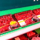 고령축산 이미지