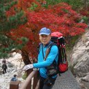 솔밭집민박 이미지