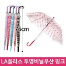 제이제이플러스 이미지