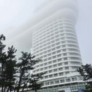​[강릉 여행] 인피니티풀 꿀팁부터 솔직 투숙 후기까지, 아이와 호캉스 '스카이베이 호텔 경포' 🏨🏊‍♂️🥕