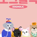 강아지홀릭 이미지
