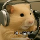 올데이 밀 이미지