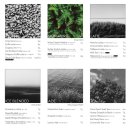 픽쳐레스크 이미지