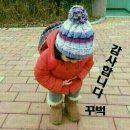 영상이용원