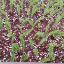 양달농장 이미지