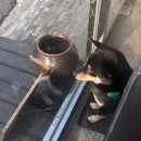 차담정2 이미지