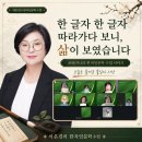 지니자원 | 글자 한 글자 따라가다 보니, 삶이 보였습니다 | 파자로 풀고 마음으로 읽는 보배지니의 한자인문학 수업