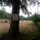 부림낚시터(부림저수지) 이미지